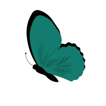 Butterfly vector illustration Stock Illustration