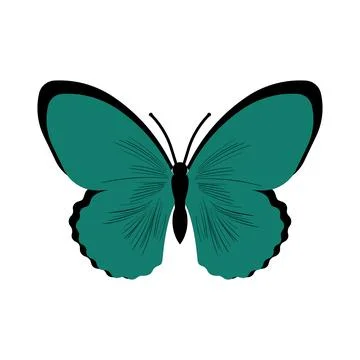 Butterfly vector illustration Stock Illustration