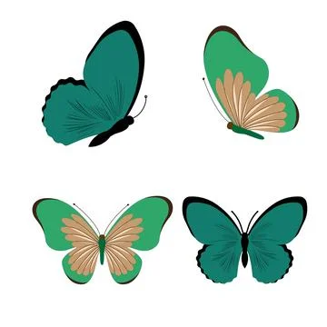 Butterfly vector illustration Stock Illustration
