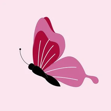 Butterfly vector illustration Stock Illustration