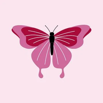 Butterfly vector illustration Stock Illustration