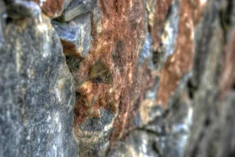 A Butterfly on a Wall Stock Photos