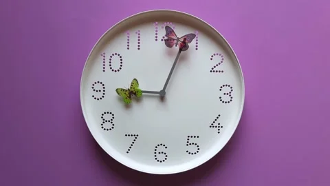 Butterfly watch. Concept of time management, fast flow of life, lack of time. Stock Footage 236700809
