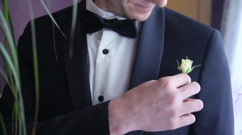 Butterfly wedding 3 Stock Footage 32474883