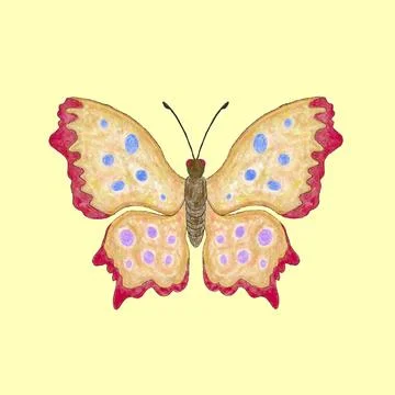 Butterfly on white background. vector illustration. Stock Illustration