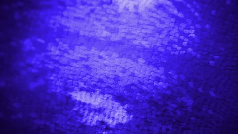 Butterfly Wing at Microscopic Magnification. Super bright colors with amazing Stock Footage 146283794