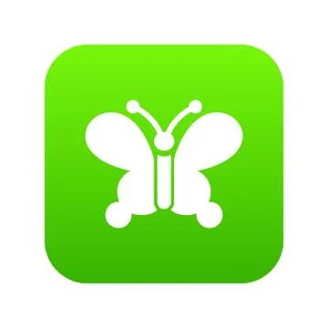 Butterfly wing patterns icon green vector 스톡 일러스트