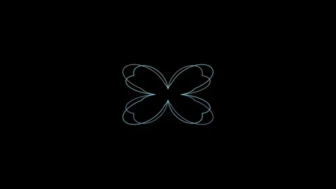 Butterfly wing symmetry pattern animation 4K Vídeos de archivo 336516765