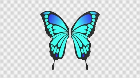Butterfly wings - 3d render looped with alpha channel. Stock Footage 206786604