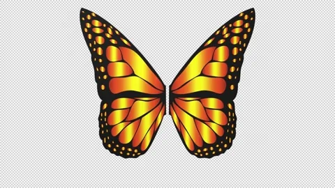Butterfly wings - 3d render looped with alpha channel. Stock Footage 206790259