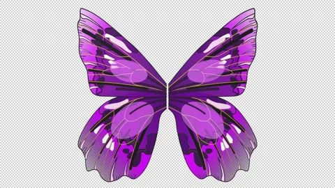 Butterfly wings - 3d render looped with alpha channel. Stock Footage 206791189
