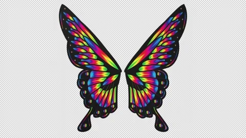 Butterfly wings - 3d render looped with alpha channel. Stock Footage 206792400