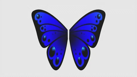 Butterfly wings - 3d render looped with alpha channel. Stock Footage 206793123
