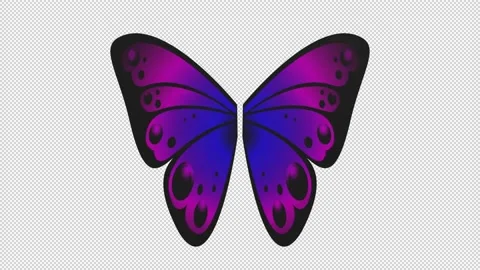 Butterfly wings - 3d render looped with alpha channel. Stock Footage 206793816