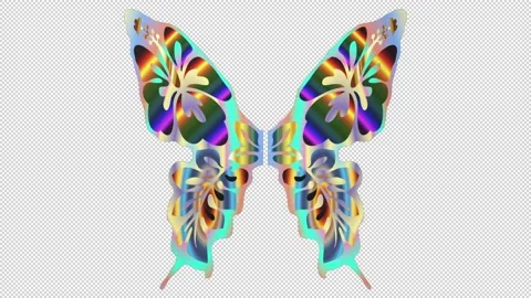 Butterfly wings - 3d render looped with alpha channel. Stock Footage 206794265