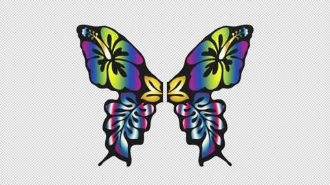 Butterfly wings - 3d render looped with alpha channel. Stock Footage 206794527