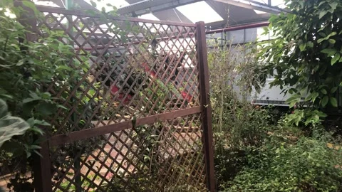 BUTTERFLY WORLD Stock Footage 135542022