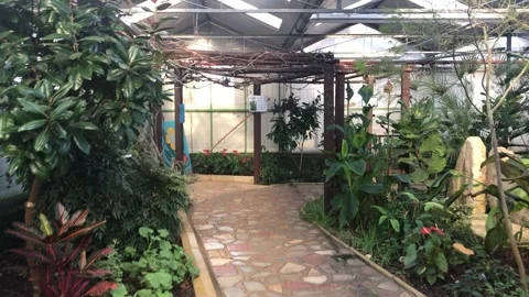 BUTTERFLY WORLD Stock Footage 135542046