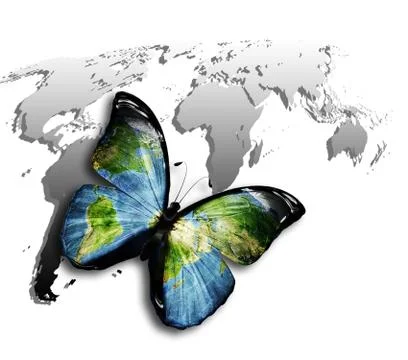 Butterfly world Stock Illustration