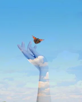 The Butterfly in your hands Stock Photos