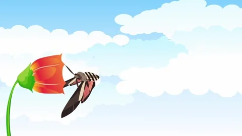 Butterfly1 Stock Footage 326923889