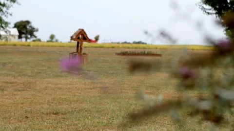 Butterflybush focuspull.mp4 Stock Footage 8849893