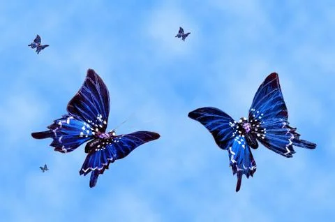 Butterflys on the sky Stock Photos