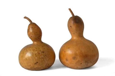Butternut pumpkins Stock Photos