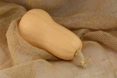 Butternut squah Stock Photos