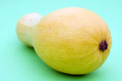 Butternut squash on green background Stock Photos