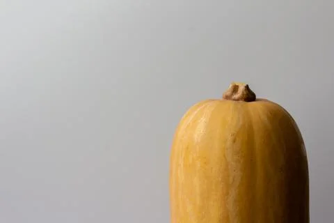 Butternut squash head close-up 스톡 사진