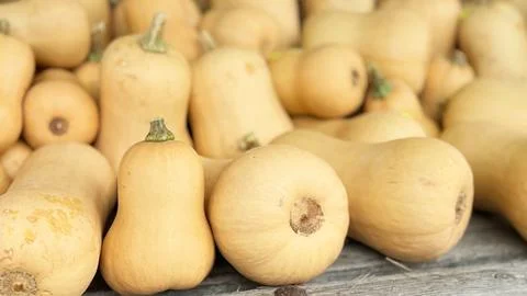 Butternut squash heap rustic farm market autumn harvest natural food and cozy Stock Photos