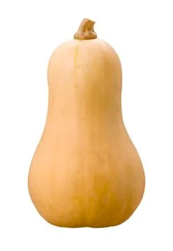 Butternut squash isolated Stock Photos