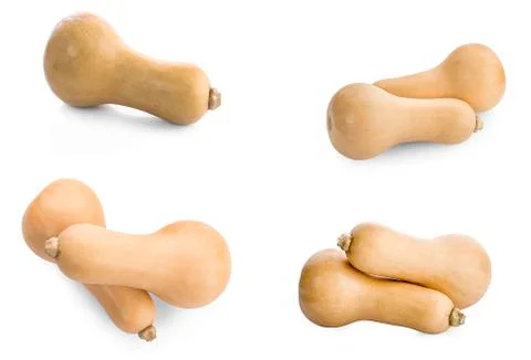 Butternut squash isolated Stock Photos