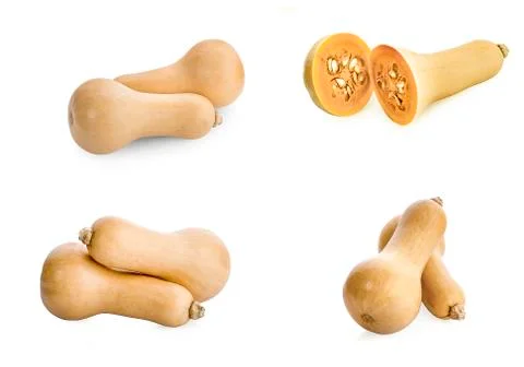 Butternut squash isolated Stock Photos