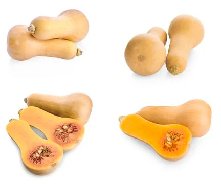 Butternut squash isolated Stock Photos