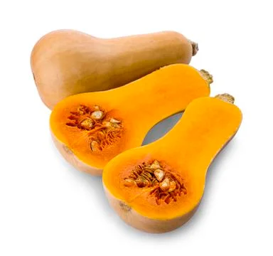 Butternut squash isolated on white background Stock Photos