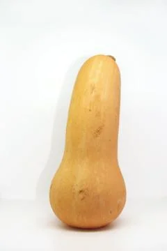 Butternut squash isolated on white background Foto stock