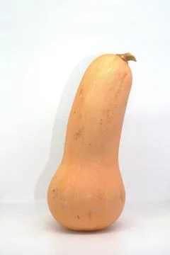 Butternut squash isolated on white background Stock Photos