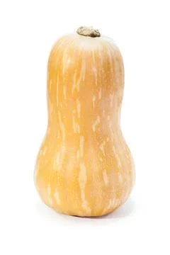 Butternut squash isolated on white background. Autumn and winter vegetable Stock Photos