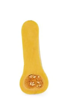 Butternut squash isolated on white background Stock Photos