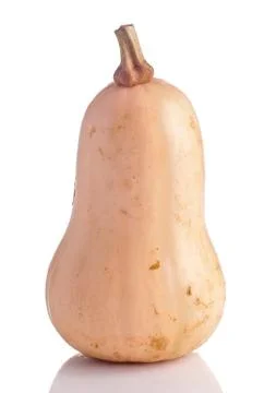 Butternut Squash Stock Photos