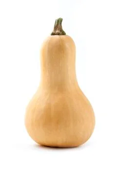 Butternut squash. Stock Photos