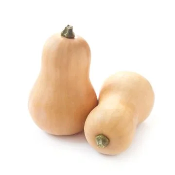Butternut Squash Stock Photos