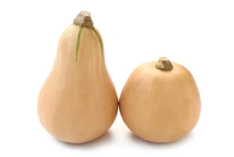 Butternut Squash Stock Photos