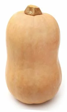 Butternut squash Stock Photos