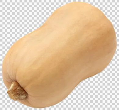 Butternut squash Stock Photos