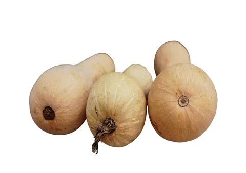 Butternut Squash Stock Photos