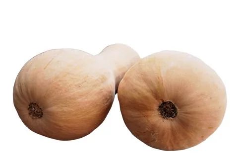 Butternut Squash Stock Photos