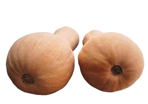 Butternut Squash Foto stock